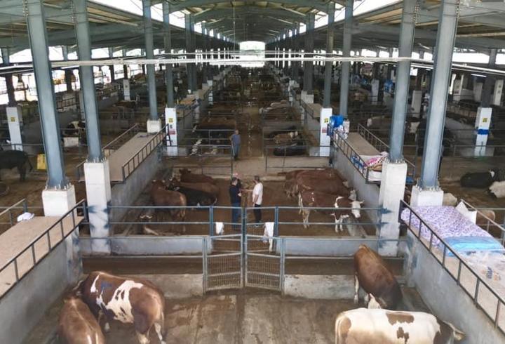 İnegöl Belediyesi Hayvan Pazarı’nın kotra ihale tarihi belli oldu