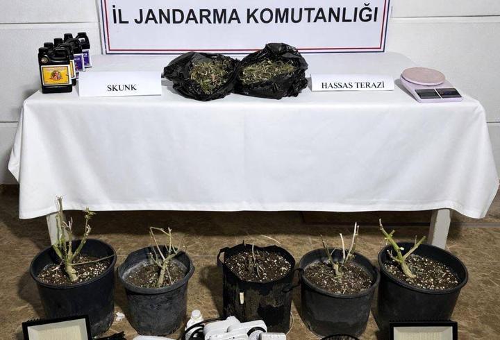 Aksu’da serada uyuşturucu üretimine operasyon