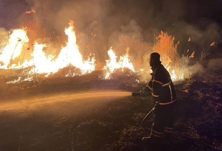 Sazlık yangını 3 saatte söndürüldü