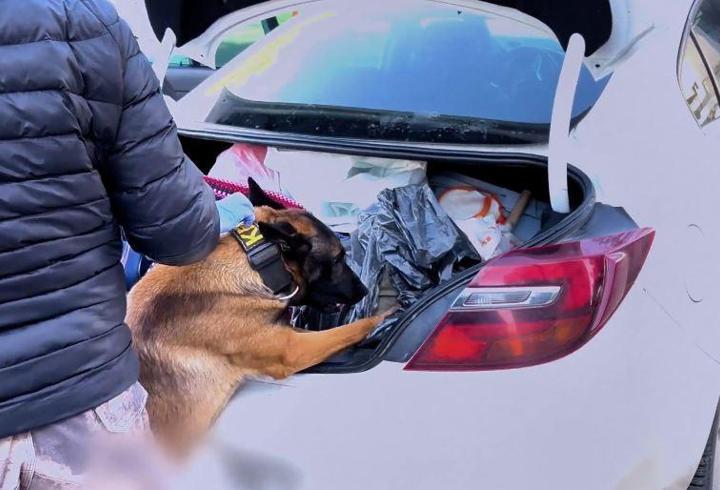 73 ilde uyuşturucu operasyonu; 475 tutuklama