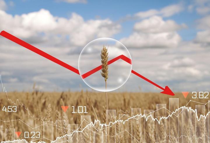 Hürmüz’de düğüm çözülürse dünya ne kaybeder? | Petrolün ötesinde büyük tehdit: Gıda ve su alarmı