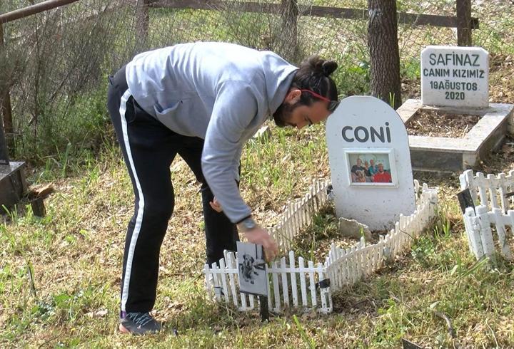Türkiye'nin ilk evcil hayvan mezarlığına bayram ziyareti