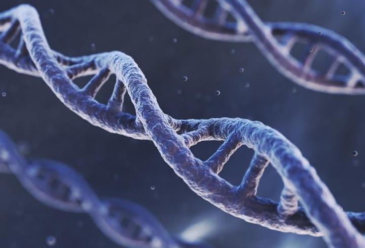 Bilimsel araştırmalar ortaya koydu: Kadınlar erkeklere oranla 5-7 sene daha uzun yaşıyor