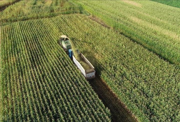 TARIMSAL DESTEK ÖDEMELERİ YATTI MI: Mazot ve gübre desteği ödemeleri ne zaman yatacak?