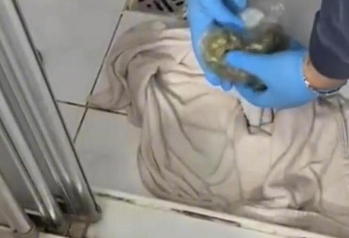 İstanbul - Maltepe'de uyuşturucu operasyonu: 1 tutuklama