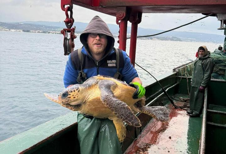 Çanakkale'de balık ağına takılan caretta caretta kurtarıldı