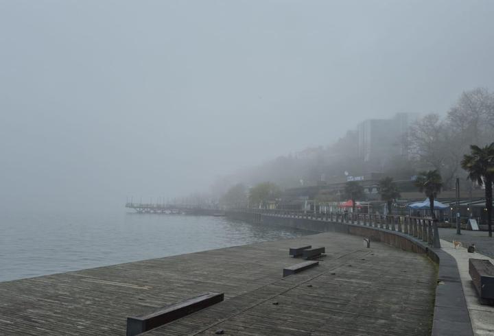 Zonguldak’ta 5 gündür sis etkili oluyor