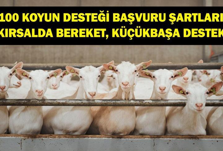 100 KOYUN DESTEĞİ 2026: TARSİM “Kırsalda Bereket, Küçükbaşa Destek” Başvuru Tarihleri Neler? Kimler Faydalanabilir, Başvuru Şartları Neler?