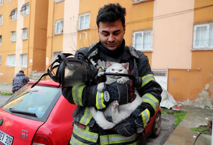 İtfaiye ekipleri yangında hamile kediyi kurtardı