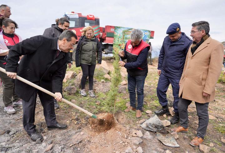Burhaniye'de 315 fıstık çamı toprakla buluşturuldu