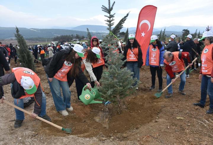 İzmir'de yanan alanda 15 bin fidan toprakla buluşturuldu