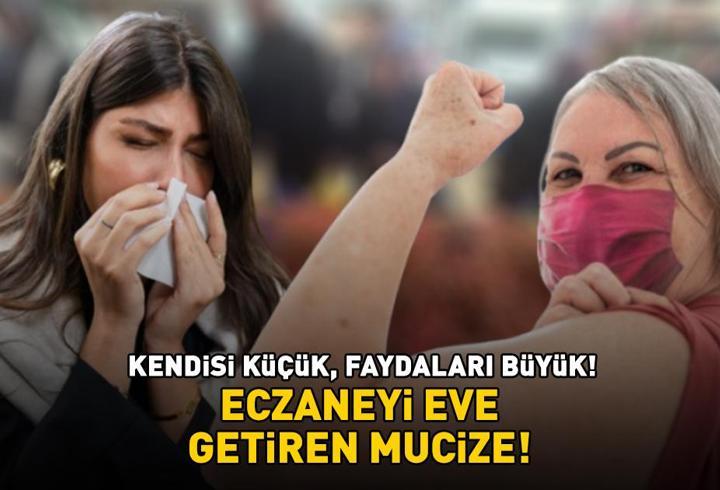Kilosu 80 TL! Eczaneyi eve getiren mucize: Güçlü bir antioksidan kaynağı! Vücudu hastalıklara karşı koruyor, bağışıklığı destekliyor