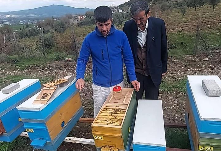 Osmaniye’de arıcılara, verimi artıracak ıslah edilmiş ana arılar dağıtılacak