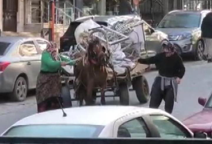 İstanbul – Avcılar’da aşırı yük taşıtılan ata sopa ve kemerli şiddet kamerada