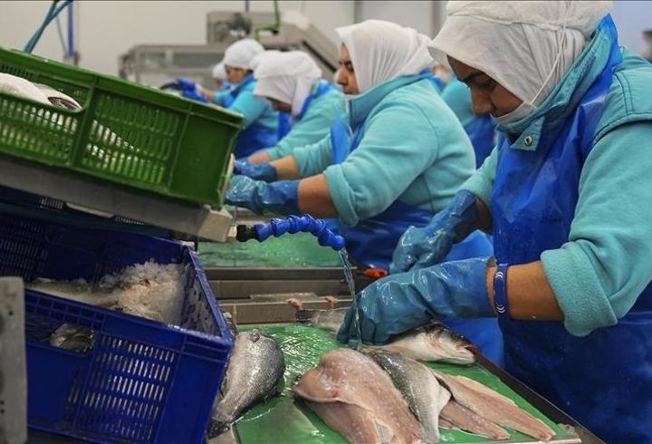 Türk su ürünleri ihracatında rekor başlangıç! 2026 için hedef 2,5 milyar dolar