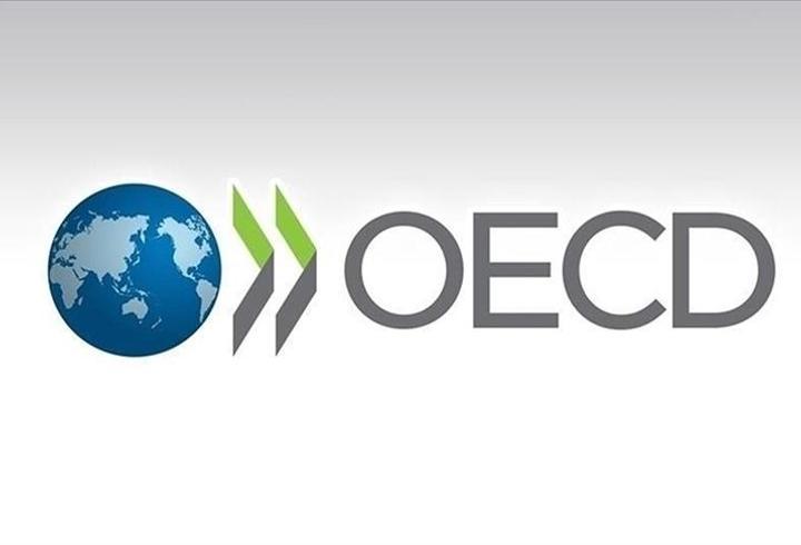 OECD Raporu: Enerji fiyat şokları enflasyonu ve büyümeyi etkileyebilir