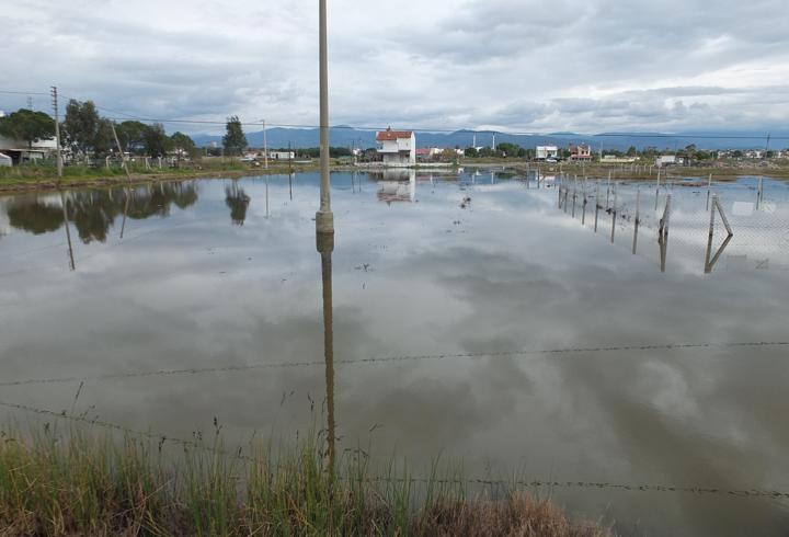Burhaniye'de yazlıklar ve tarlalar su içinde kaldı