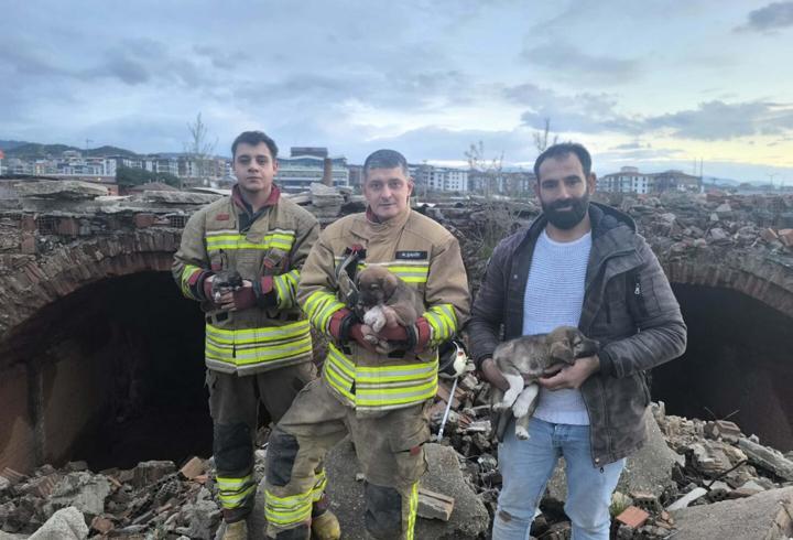 Turgutlu’da kuyuya düşen 3 yavru köpeği itfaiye kurtardı