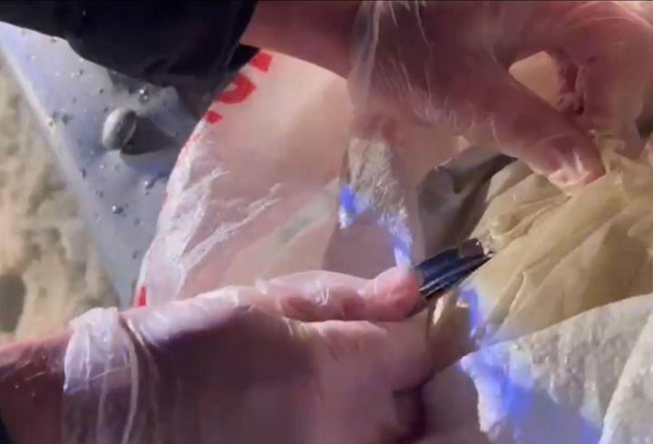 25 ilde uyuşturucu operasyonları: 99 tutuklama