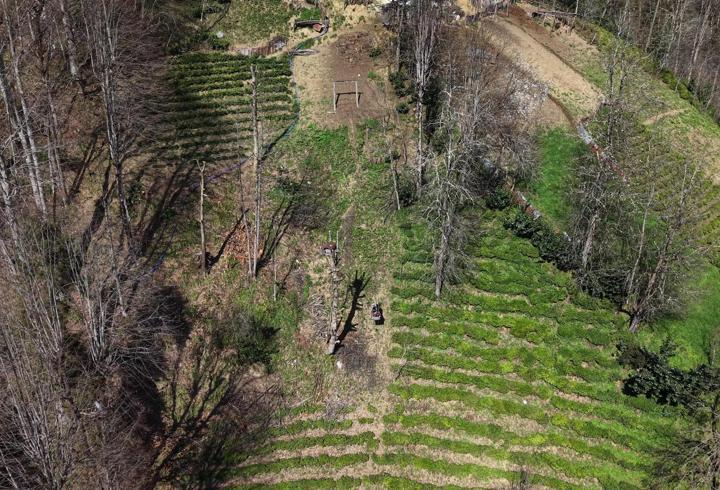 110 metrelik yolu olmadığı için evine 20 yıldır ilkel teleferikle gidiyor