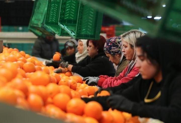 Kadınların ihracattaki payı rekor seviyede: Yüzde 23,5’e yükseldi