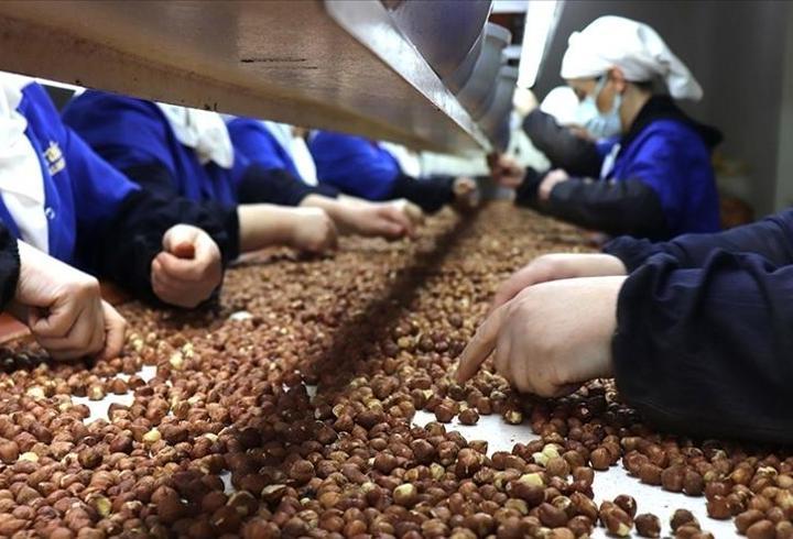 Kadınların ihracattaki gücü artıyor! Zirvede yine Giresun var