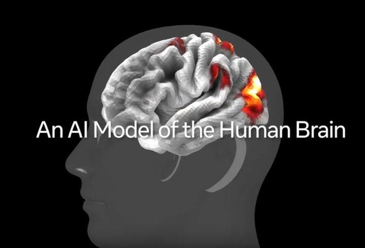 Beynimizin nasıl çalıştığını anlamak için model geliştirdi