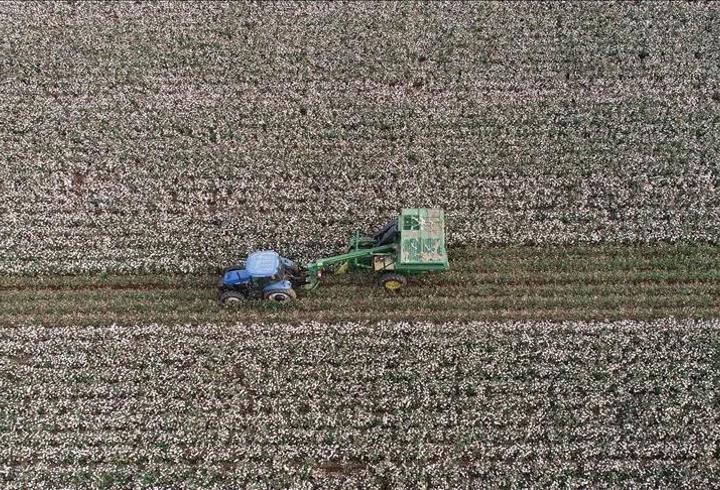 Hürmüz Boğazı'ndaki aksamalar dünya genelinde çiftçileri zora sokuyor