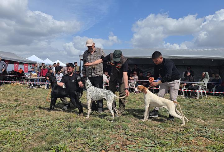 Kozan’da Avcı, Köpeği ve Irk Standartları Yarışması