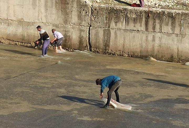 Haberi duyan baraja koştu: Toplamaya yetişemediler