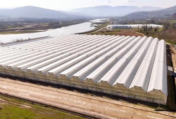 Çaycuma sera OTB üretime başladı: 1,5 milyar liralık yatırım ve 1000 kişiye istihdam