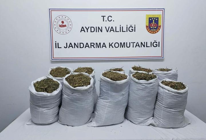 Aydın'da uyuşturucu operasyonu; 2 gözaltı