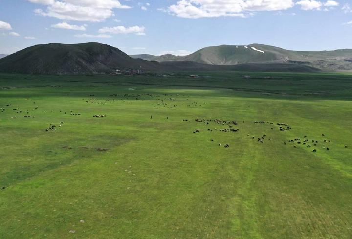 Bakanlıktan Kars'taki "mera yasağı" iddialarına yalanlama