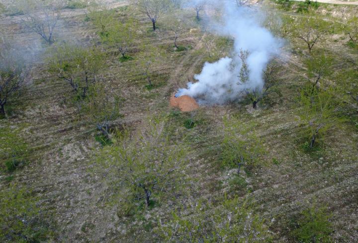 Manisa’da üreticilerden ‘zirai don' nöbeti; badem ağaçlarına dumanlı koruma