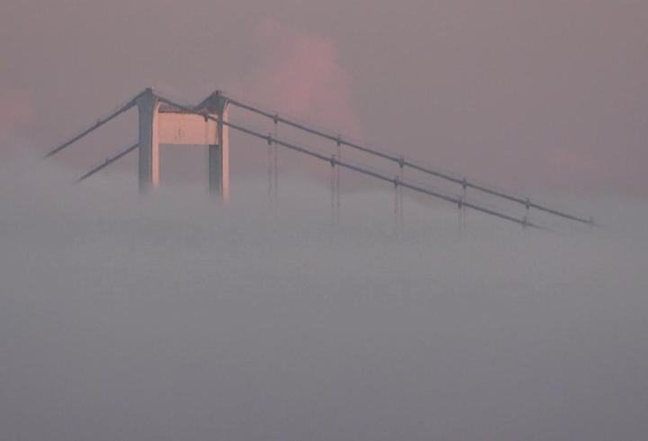İçişleri Bakanlığı'ndan yapılan açıklamada, "Van ve Hakkari’de düzenlenen operasyonlarda 446 kilogram uyuşturucu madde ele geçirildi, 8 şüpheli zehir taciri yakalandı" denildi.
3