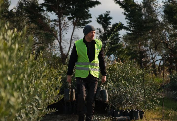 'Ağaç Adam'ın hedefi 1 milyon zeytin fidanı