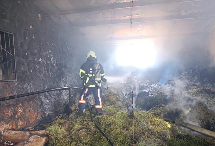 Mardin’de hayvan çiftliğinde yangın