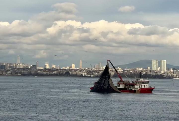 Av mevsiminin son günlerinde Marmara'da istavrit bolluğu