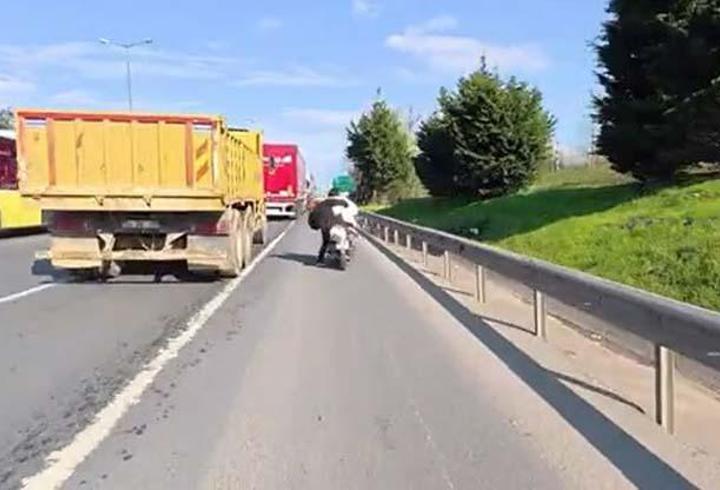 CNN TÜRK Diyarbakır muhabiri Burak Emek'in özel haberine göre; Sahte internet siteleri ve sosyal medya hesapları üzerinden "bungalov ev kiralama" vaadiyle yüzlerce kişiyi dolandırdığı tespit edilen 15 şüpheli için operasyon düzenlendi. Siber Suçlarla Mücadele Şube Müdürlüğü tarafından 8 ilde eşzamanlı yürütülen operasyonda,   şüphelilerin tamamı yakalandı 3