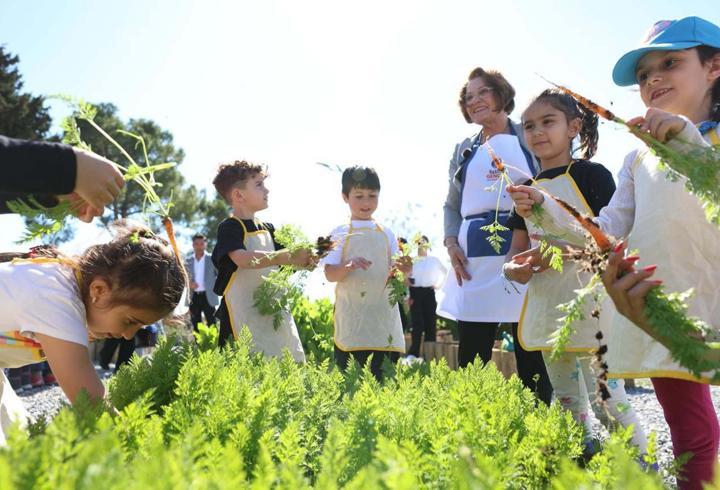 Didim'de minikler önce marul dikti, sonra hasat etti