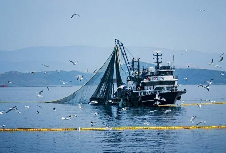 Denizlerde av yasağı 15 Nisan'da başlıyor