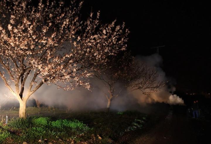Kayısı üreticileri olası zirai don nöbetinde
