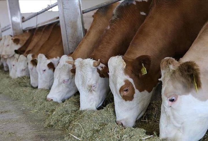 Kastamonu’ya 784 milyon liralık dev yatırım