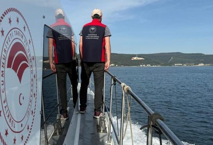 Türkiye su ürünlerinde rekor kırdı: Üretim 1 milyon tonu aştı, ihracat 2,24 milyar dolar