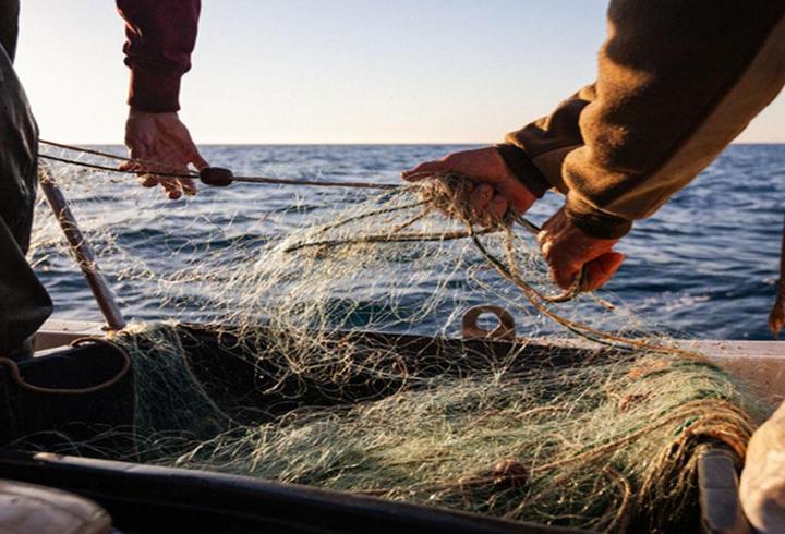 AV YASAĞI NE ZAMAN BAŞLIYOR, BUGÜN MÜ? 2026 Av Yasağı Ne Zaman Bitecek? Ne Zamana Kadar Avlanma Yasak?