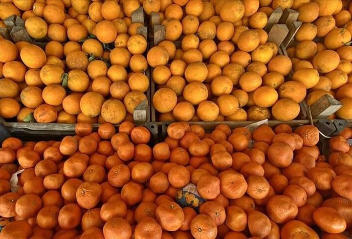 Türkiye’nin turunçgil ihracatı ilk çeyrekte rekor büyüme gösterdi