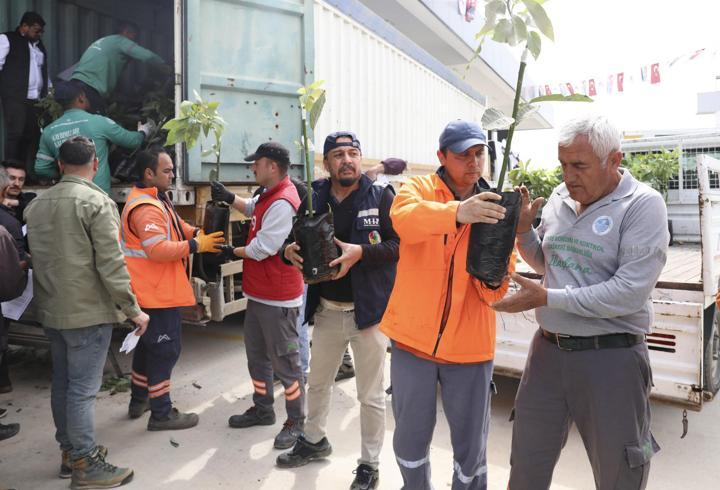 Anamur’da üreticiye avokado fidanı ve bitki besleme ürünü dağıtıldı