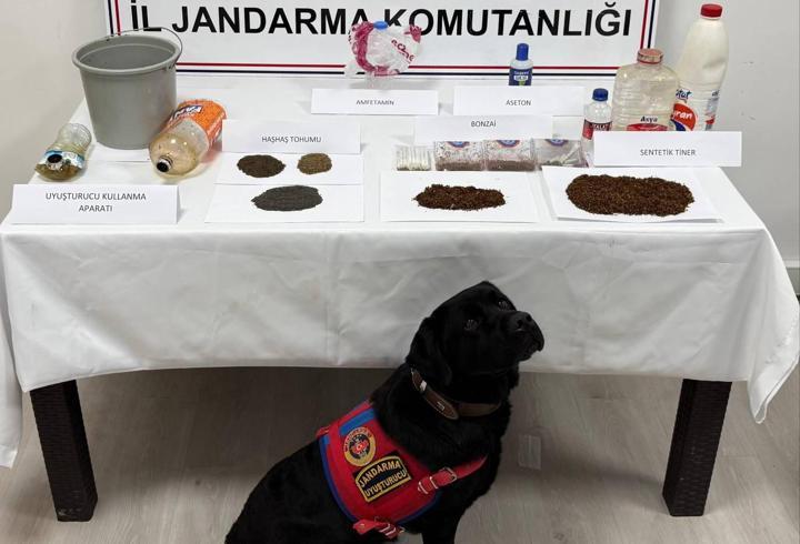 Tokat'ta uyuşturucu operasyonu 7 gözaltı