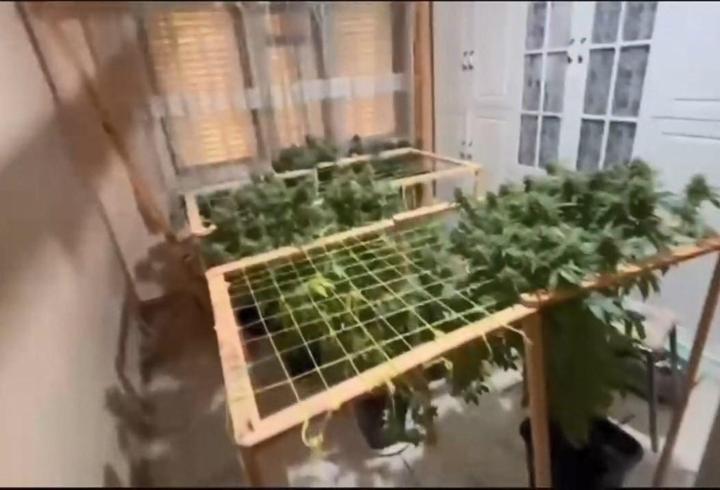 Pendik’te uyuşturucu operasyonu: 2 şüpheli tutuklandı