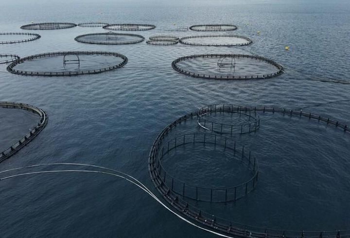 Muğla’dan dev ihracat hamlesi! 3 ayda 198 milyon dolar